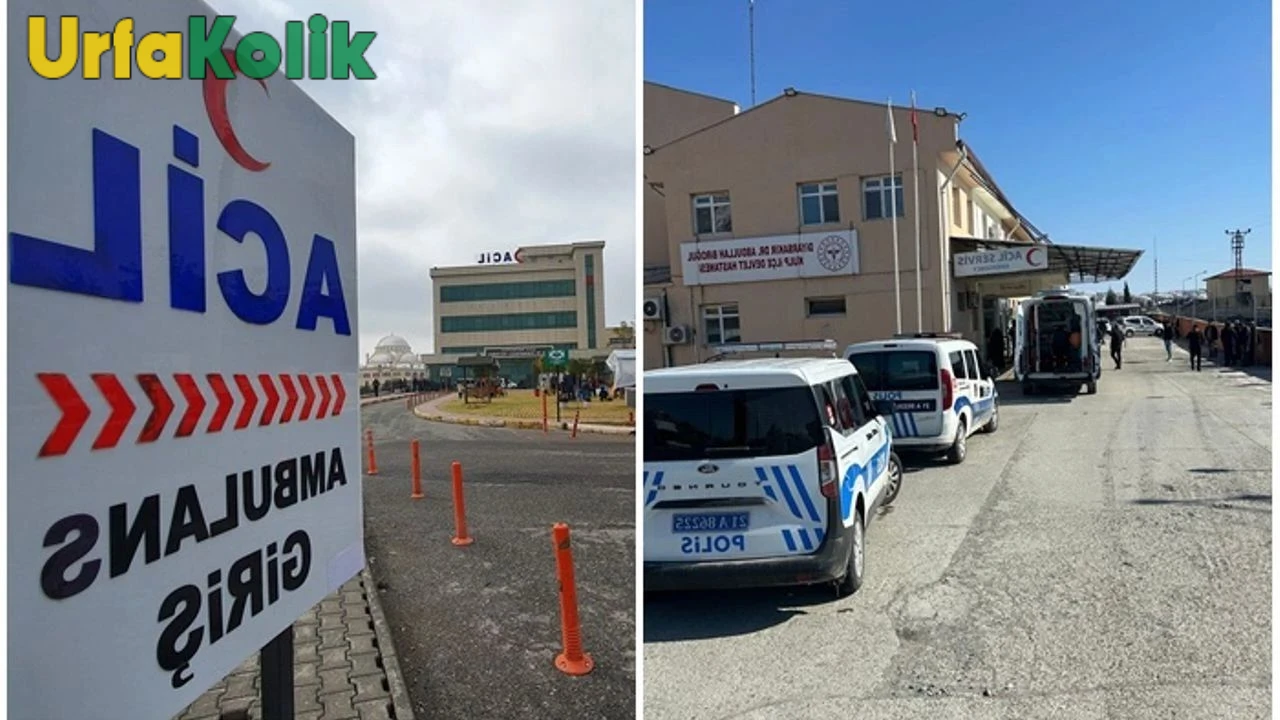 Diyarbakır'da dehşet! Genç adam, annesini öldürdü ve babasını ağır yaraladı.