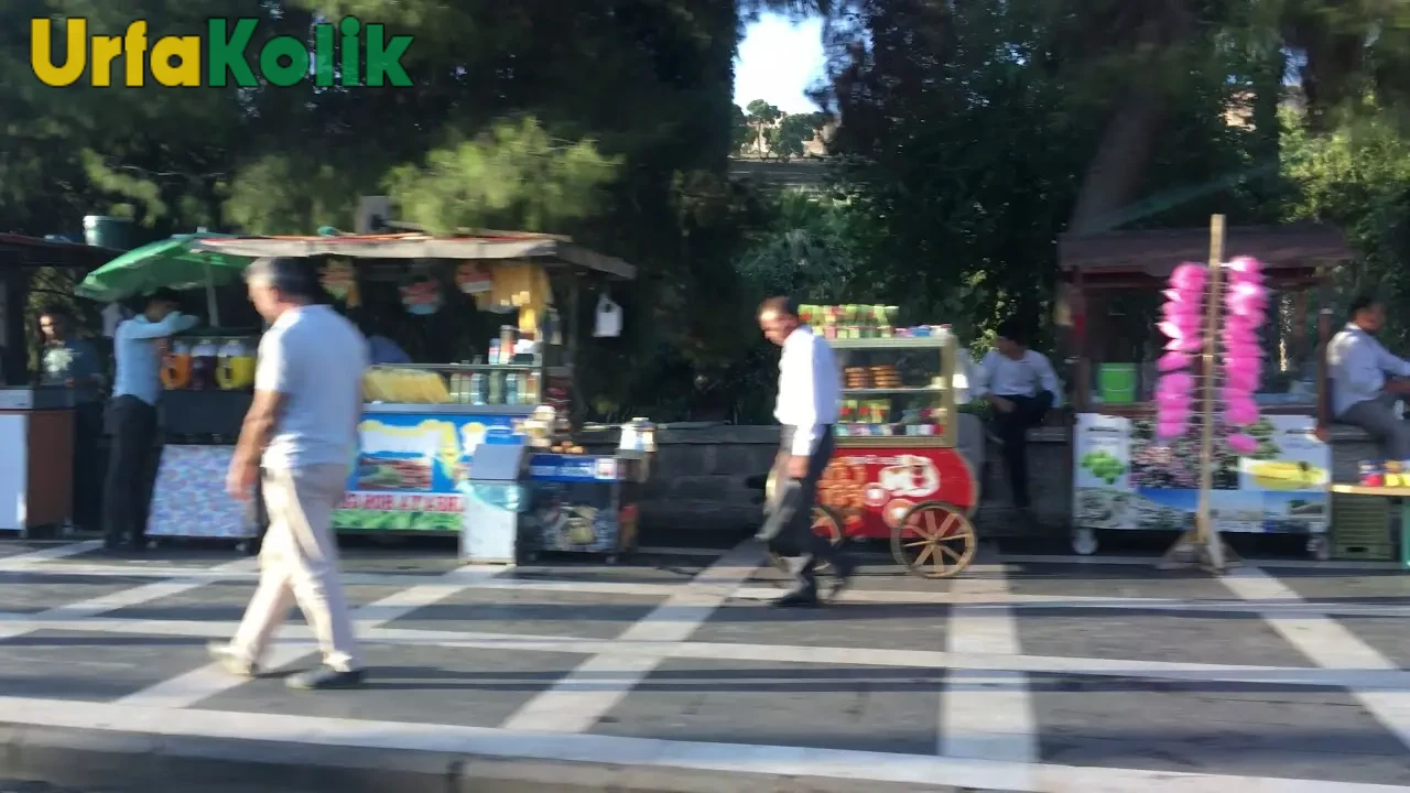 Şanlıurfa'da Turistlerin Sorunu: Balıklıgöl Çevresindeki Park Sorunu!