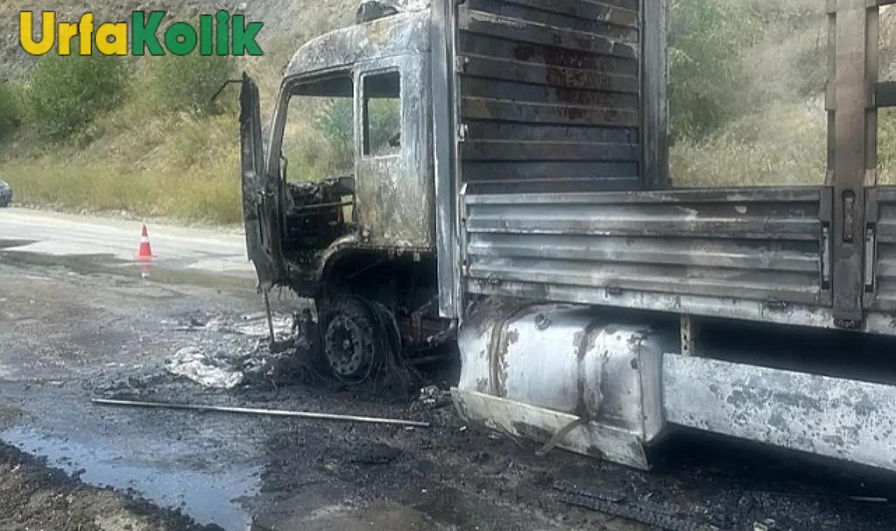 Şanlıurfa'da paniğe sebep olan olay! Petrol istasyonuna dalan TIR büyük bir yangın çıkardı!