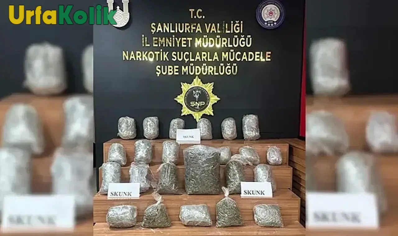 Vali Şıldak, 70 kişinin gözaltına alındığını tek tek açıkladı!