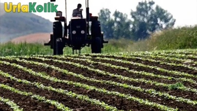 Şanlıurfa'da Tarımla Uğraşan Çiftçiler, Borç Nedeniyle Elektrik Kesintileriyle Karşı Karşıya Kalıyor