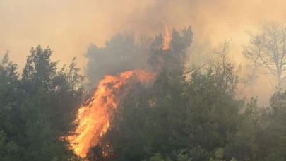 Antalya'da Kontrol Altına Alınamayan Orman Yangınıyla Mücadele Devam Ediyor!