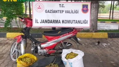 Gaziantep'te Jandarma Operasyonu: Kaçakçılıkla Mücadele Kapsamında 258 Kişi Tutuklandı!