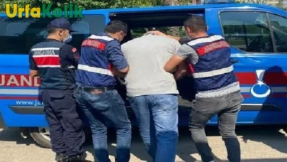 Şanlıurfa'da Jandarma'nın Şafak Operasyonuyla Silah Kaçakçılarına Büyük Darbe!